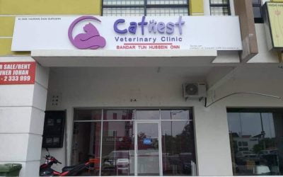Deliver website information daripada Catnest Veterinary Clinic