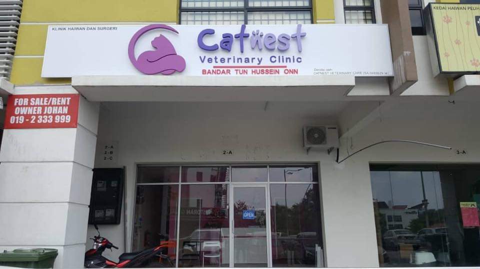 Delivering website information from Catnest Veterinary Clinic
